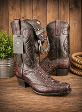 Load image into Gallery viewer, Dragons Blood Snapping Turtle Boots