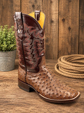 Load image into Gallery viewer, Brown Burciatto Full Quill Ostrich
