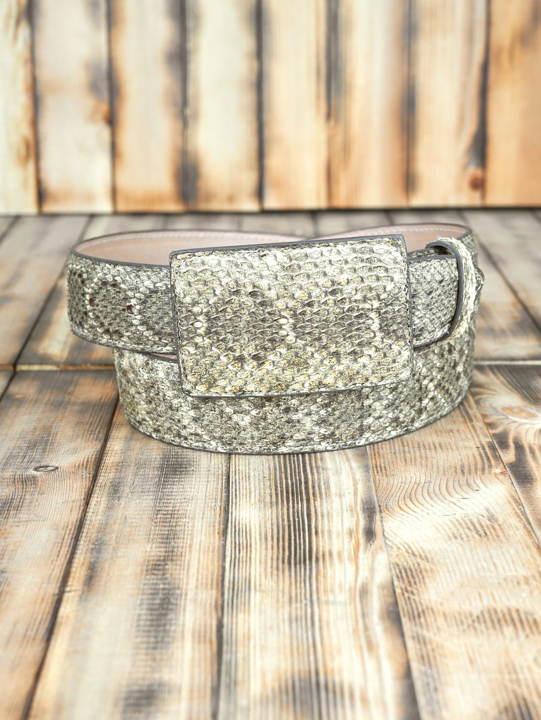 Western DiamondBack Rattle Snake 40