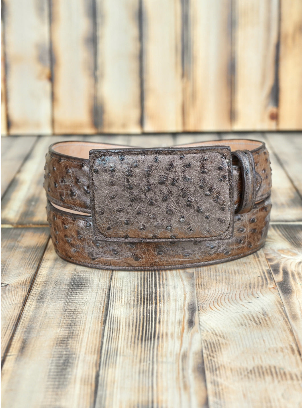 Brown Burciatto Ostrich 36