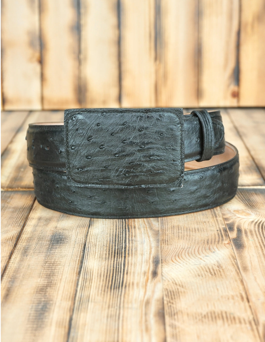 Black Ostrich 40