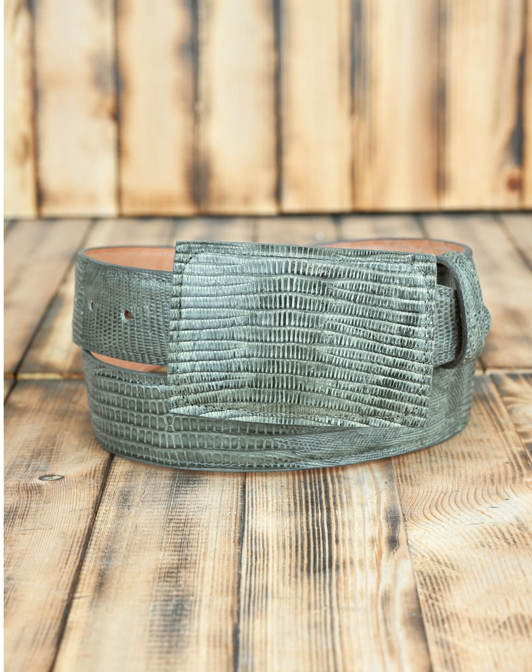 Grey Teju Lizard 38