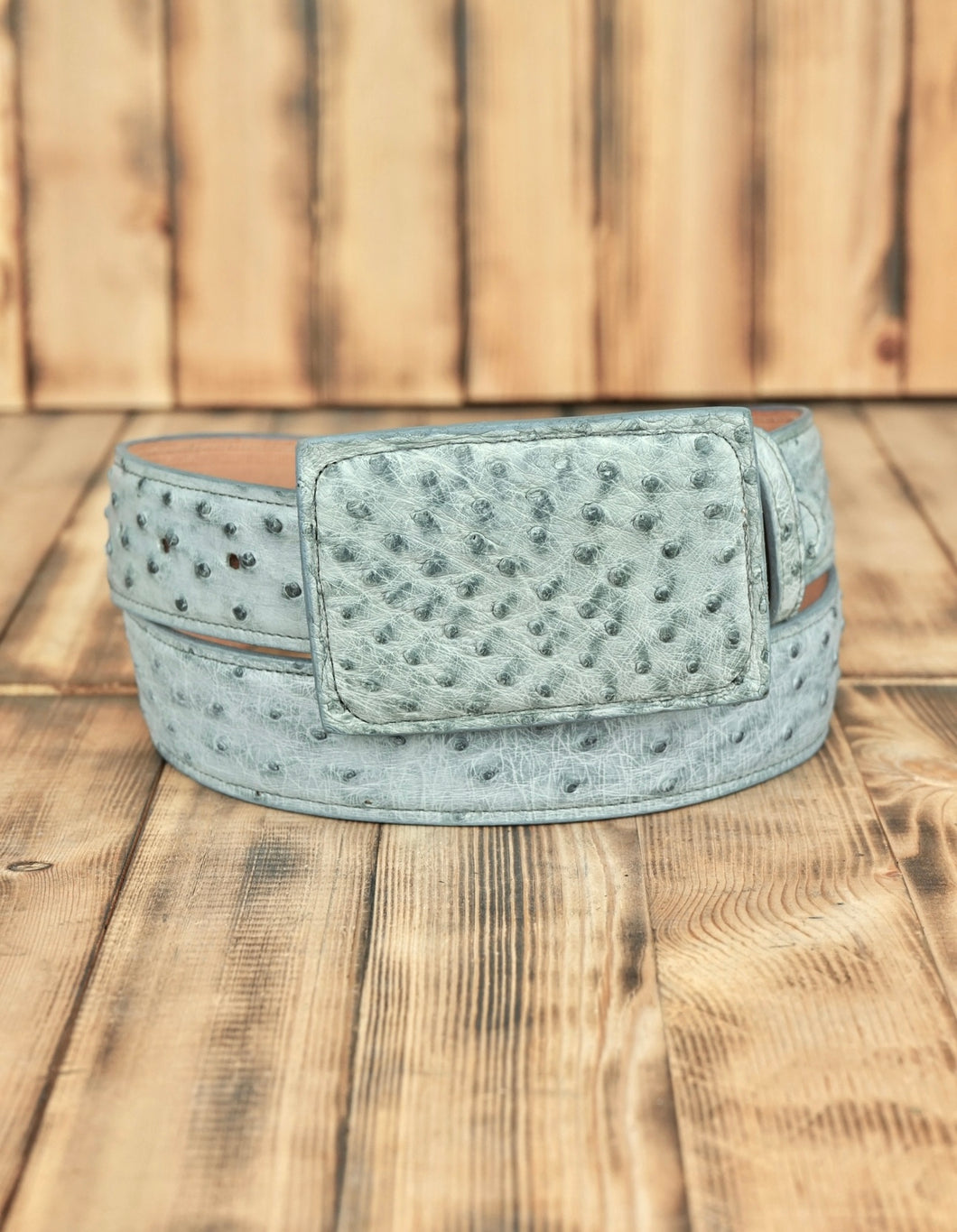Sky Blue Ostrich 38